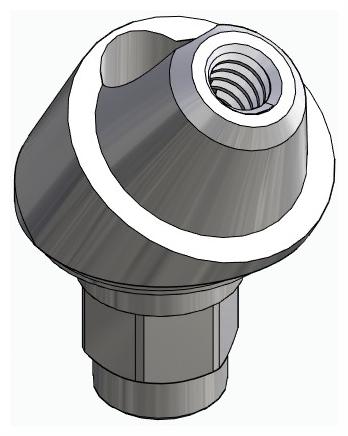BIONIKA FR, Multi-unit abutment, angled, positioned, wide, LT2, type-B