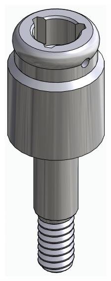 BIONIKA WL, Locator abutment, straight