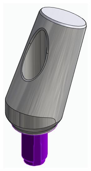 BIONIKA WL, Universal abutment, angled, positioned, type-A