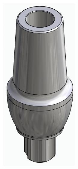 BIONIKA BB, Anatomic abutment, straight, positioned