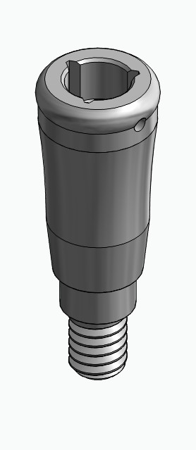 BIONIKA C1, Locator abutment, straight