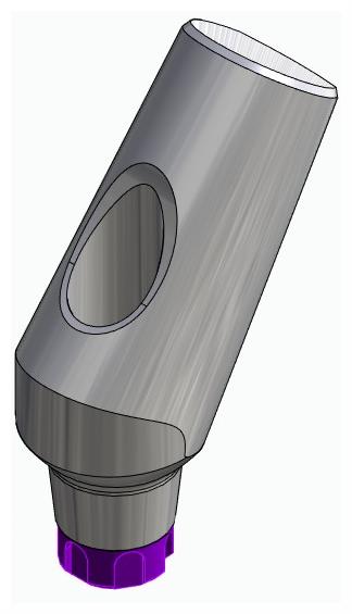 BIONIKA C1, Universal abutment, angled, positioned, type-A