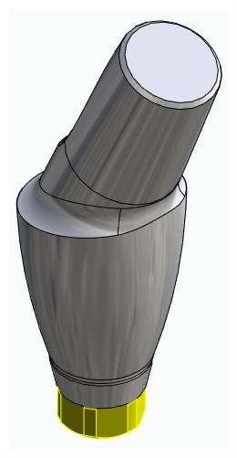 BIONIKA ACTIVAL, Anatomic abutment, angled, 25°, positioned, type-B