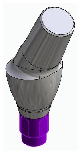 BIONIKA BONELIT, Anatomic abutment, angled, 25°, positioned, type-A