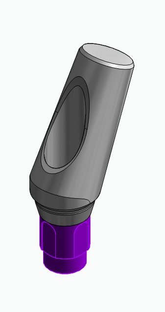 BIONIKA BONELIT, Narrow abutment, angled, positioned, type-A