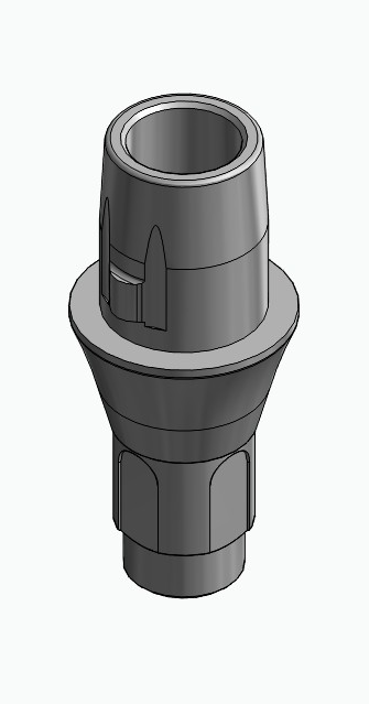 BIONIKA BONELIT, Titanium base, positioned