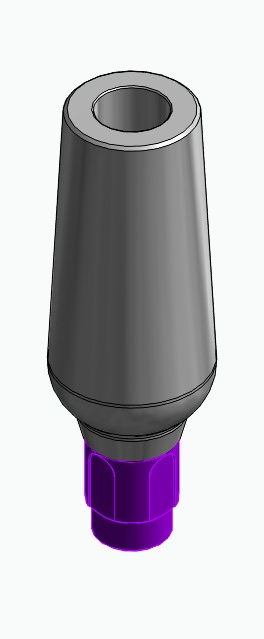 BIONIKA BONELIT, Universal abutment, straight, positioned