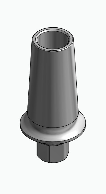 BIONIKA LG, Anatomic abutment, straight, positioned