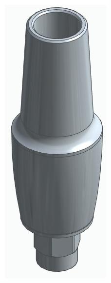 BIONIKA FP, Anatomic abutment, straight, positioned