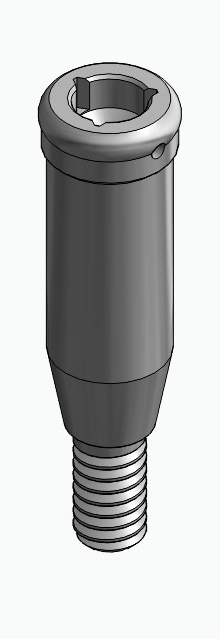 BIONIKA MO, Locator abutment, straight