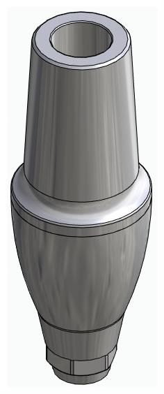 BIONIKA DENTUM, Anatomic abutment, straight, positioned