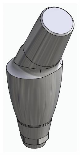 BIONIKA DENTUM, Anatomic abutment, angled, 25°, positioned, type-A