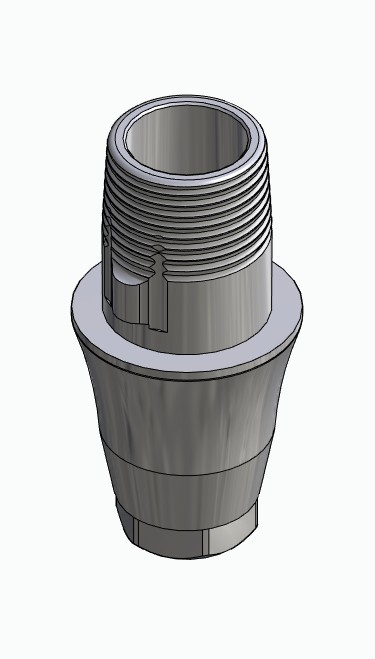 BIONIKA DENTUM, Titanium base, positioned