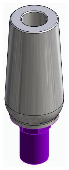 BIONIKA BIOSS, Universal abutment, straight, positioned
