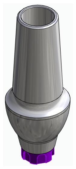 BIONIKA BK, Anatomic abutment, straight, positioned
