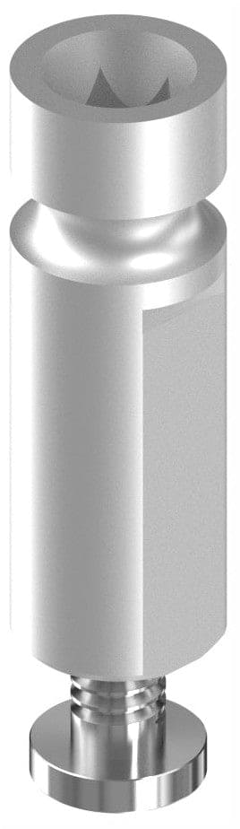 BIONIKA ECOPLANT, Implant analog for digital scan