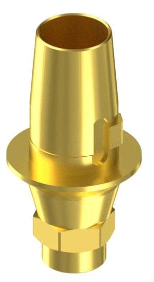 BIONIKA ECOPLANT, Titanium base, positioned