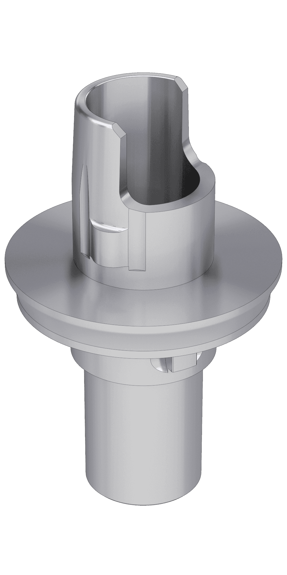 BIONIKA Cortical, Flexi (PCT) base, implant level, positioned
