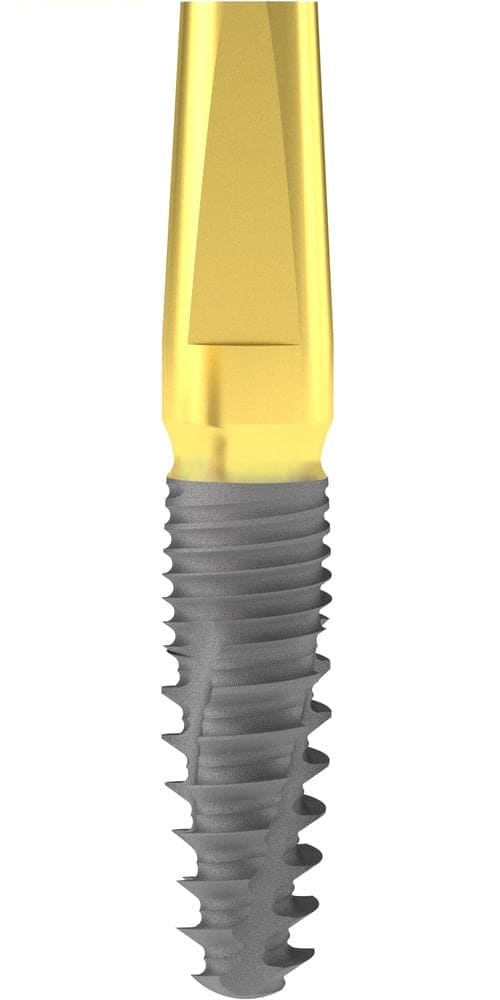 BIONIKA Cortilog DCL, Straight