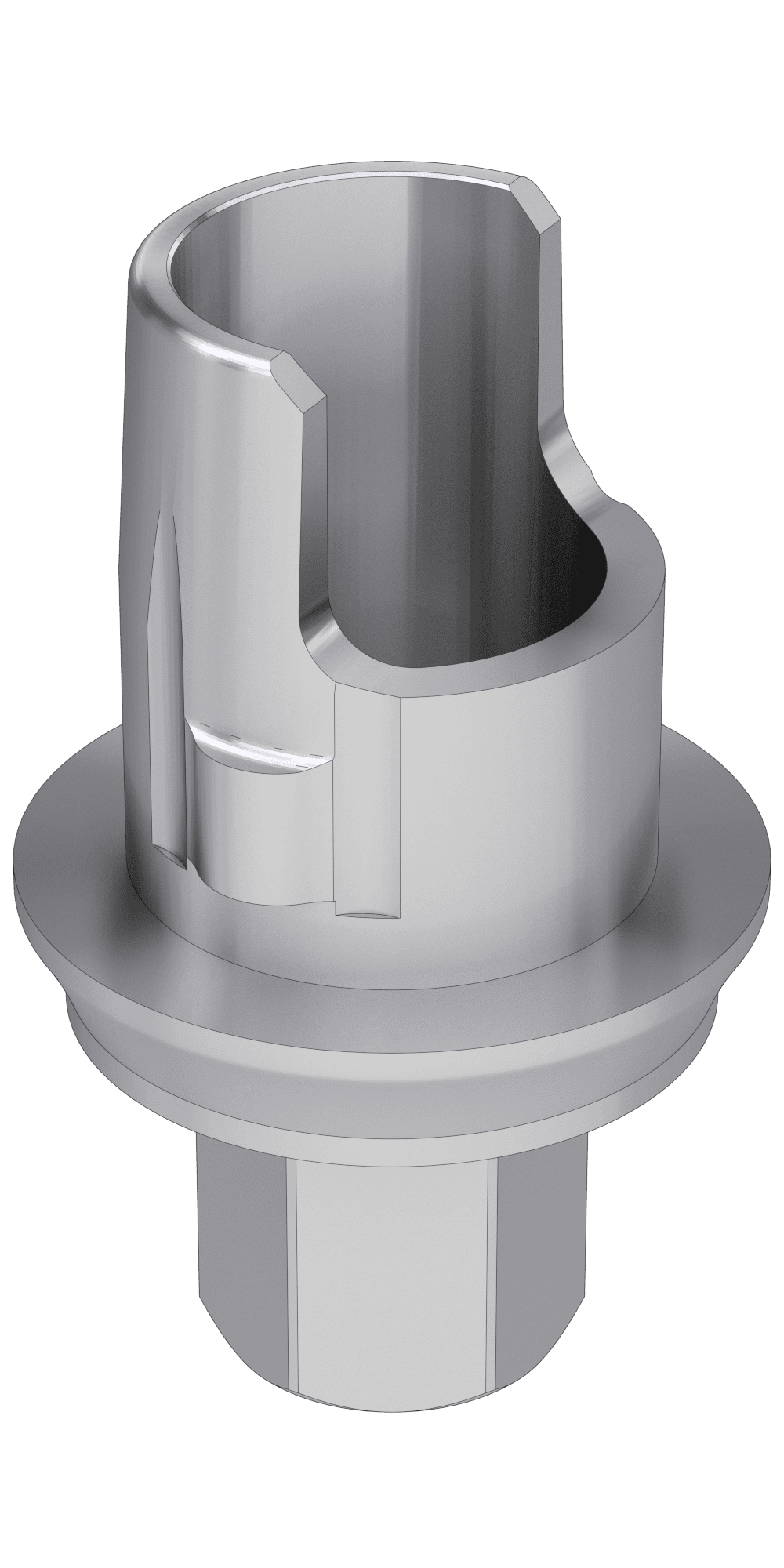 Bioplant, Flexi (PCT) base, implant level, positioned