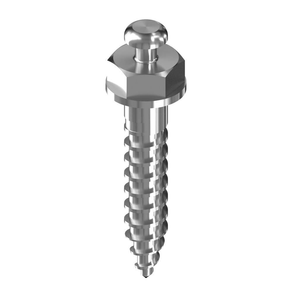 Ancora, micro orthodontics implant with ball head