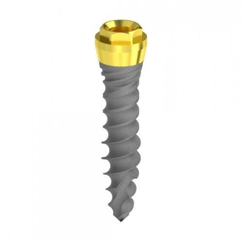 D 2,5 Hybrid bi-phase mini Implant