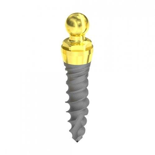 D 2,5 Hybrid mini normal Patent head Implant