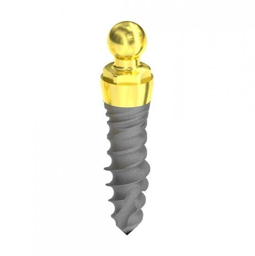 D 2,9 Hybrid mini normal Patent head Implant