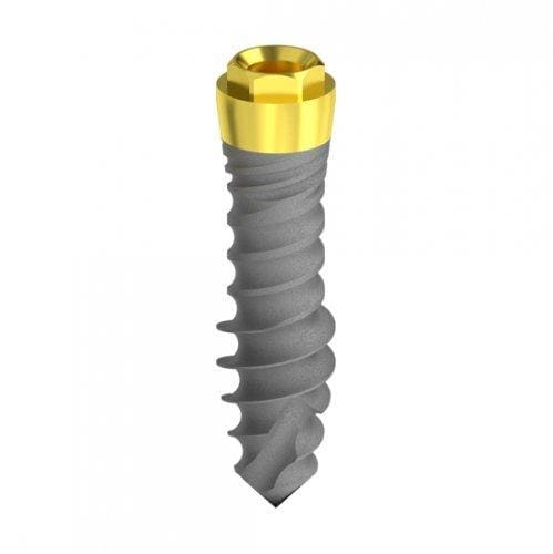 D 3,3 Hybrid bi-phase mini Implant