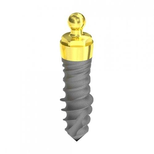 D 3,3 Hybrid mini micro-Patent head Implant