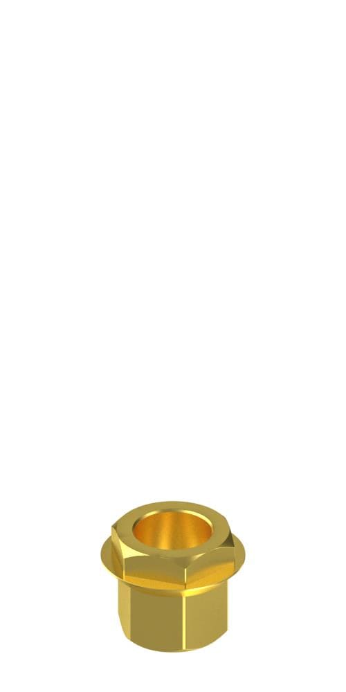 UNIFORM Implant Direct® Legacy® (LG) Compatible, BR interface, implant level, positioned