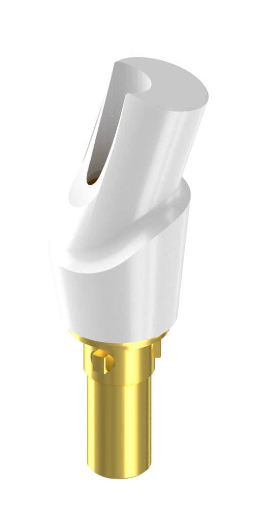 BIONIKA Cortilog PCL, Zircon abutment, with titanium base, oblique, positioned