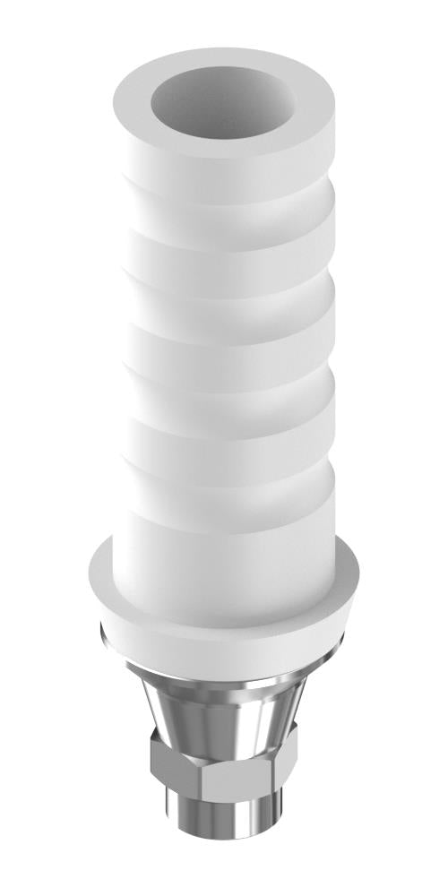 ECOplant Castable plastic abutment with titan base, implant level, positioned