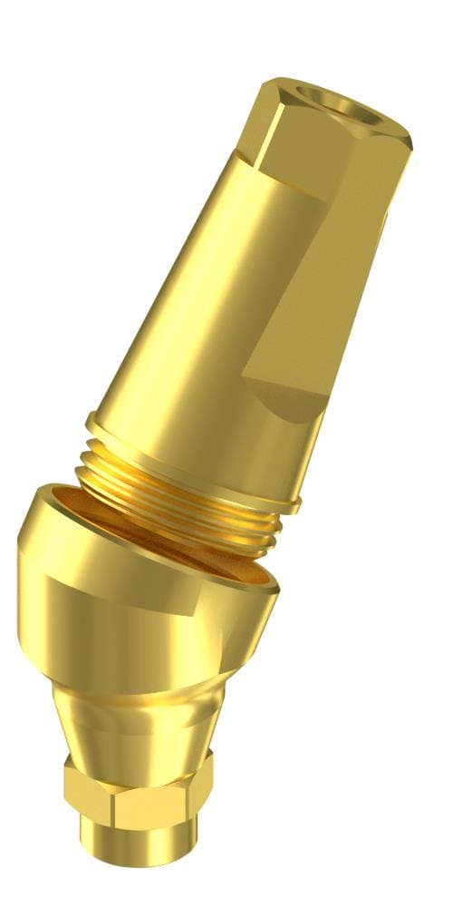 ECOplant Multi-Compact abutment (MC abutment), angled, with a sandable head cone