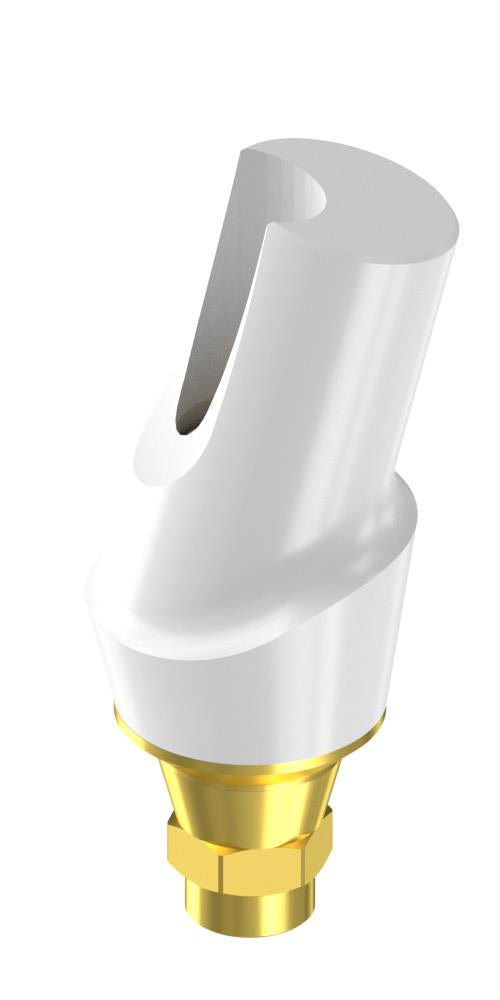 ECOplant Zircon abutment, with titanium base, oblique, positioned