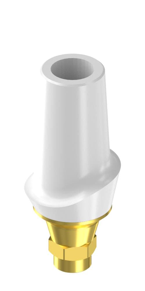 ECOplant Zircon abutment, with titanium base, straight, positioned