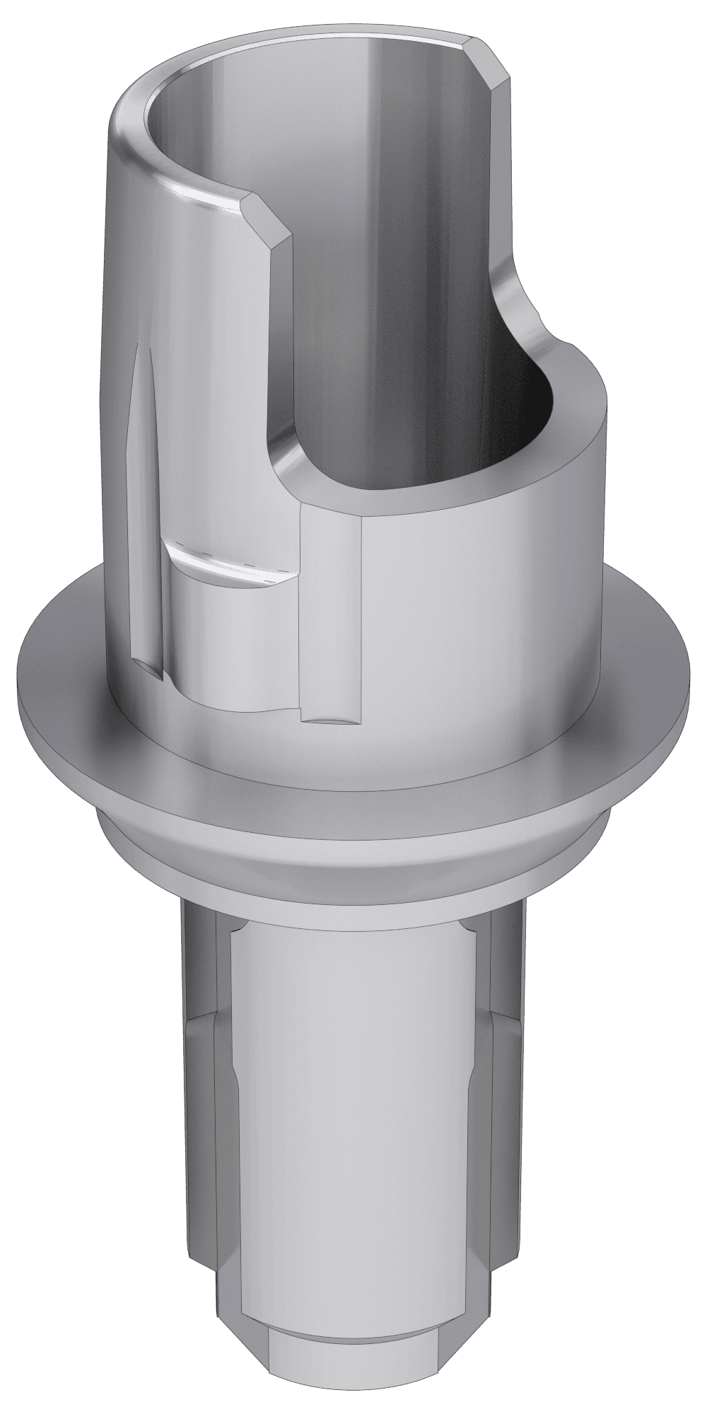 UNIFORM Vital Wieland® (WL) Compatible, Flexi (PCT) base, implant level, positioned