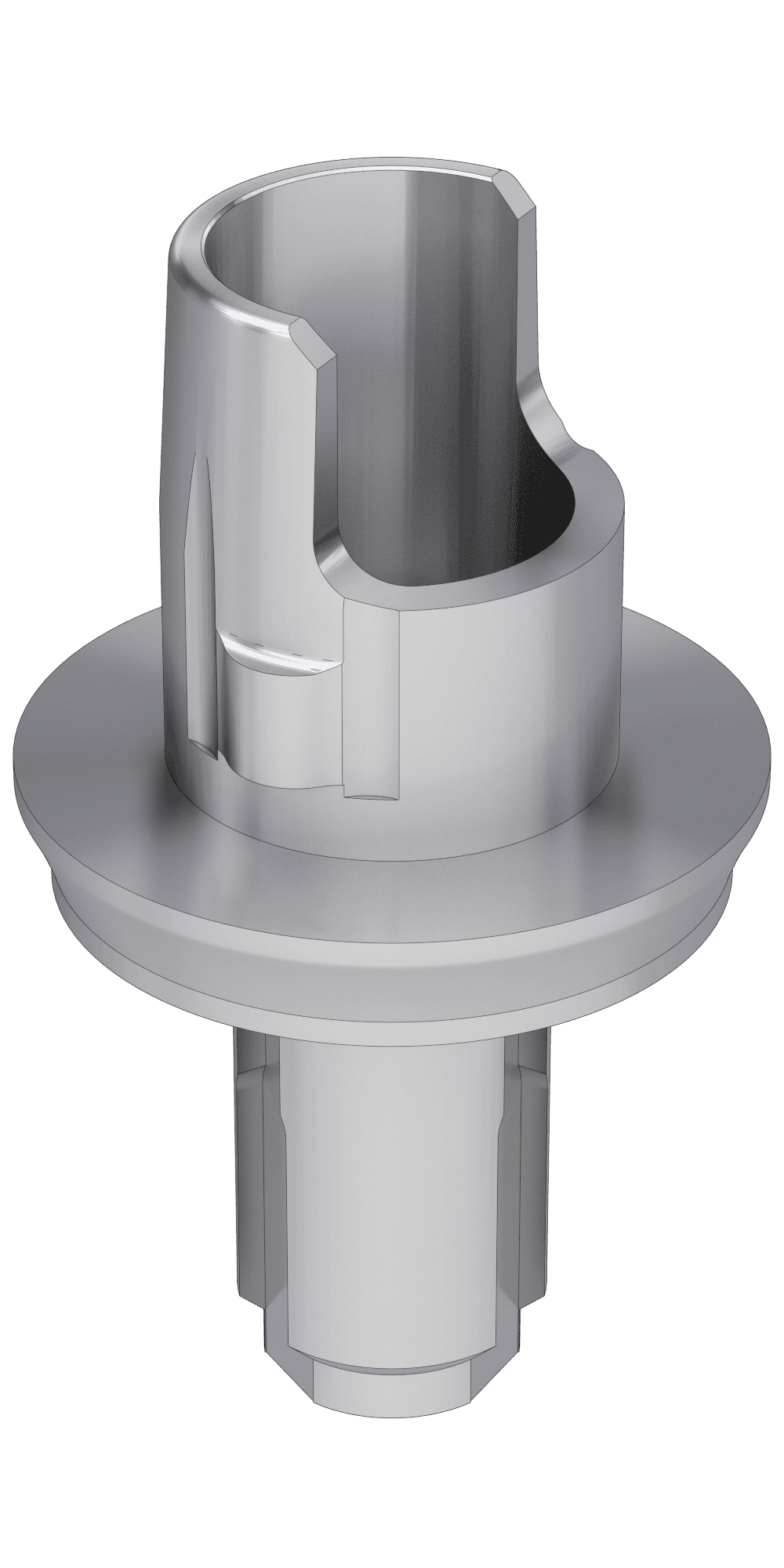 UNIFORM Vital Wieland® (WL) Compatible, Flexi (PCT) base, implant level, positioned