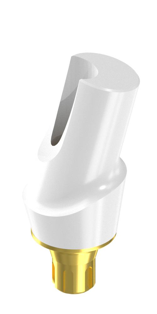 Scandrea, Zircon abutment, with titanium base, oblique, positioned