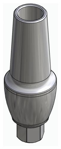 BIONIKA BIOLEVEL, Anatomic abutment, straight, positioned