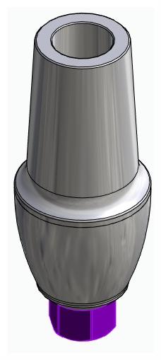 BIONIKA BIOLEVEL, Anatomic abutment, straight, positioned