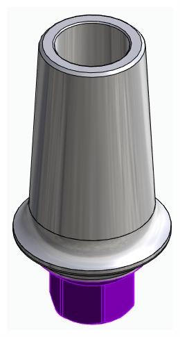 BIONIKA BIOLEVEL, Anatomic abutment, straight, positioned