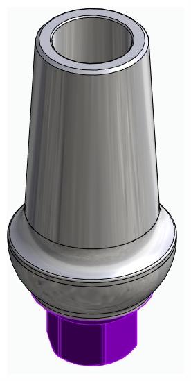 BIONIKA BIOLEVEL, Anatomic abutment, straight, positioned