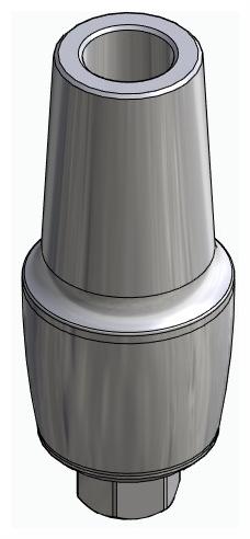 BIONIKA BIOLEVEL, Anatomic abutment, straight, positioned