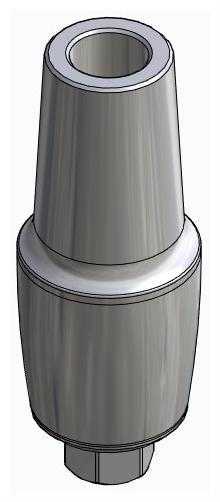 BIONIKA BIOLEVEL, Anatomic abutment, straight, positioned