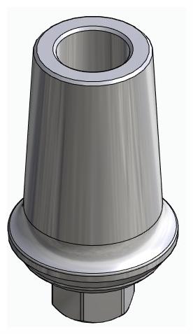 BIONIKA BIOLEVEL, Anatomic abutment, straight, positioned