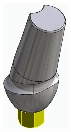 BIONIKA BIOLEVEL, Anatomic abutment, angled, 15°, positioned, type-A