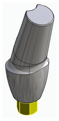 BIONIKA BIOLEVEL, Anatomic abutment, angled, 15°, positioned, type-A