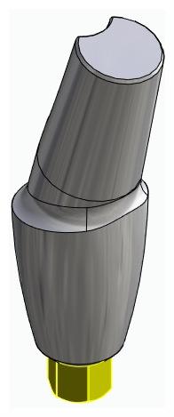 BIONIKA BIOLEVEL, Anatomic abutment, angled, 15°, positioned, type-A