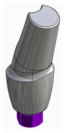 BIONIKA BIOLEVEL, Anatomic abutment, angled, 15°, positioned, type-A
